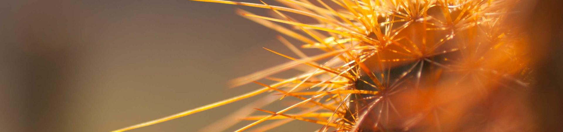 化学工业合成材料老化质量监督检验中心 &middot; 常德服务中心